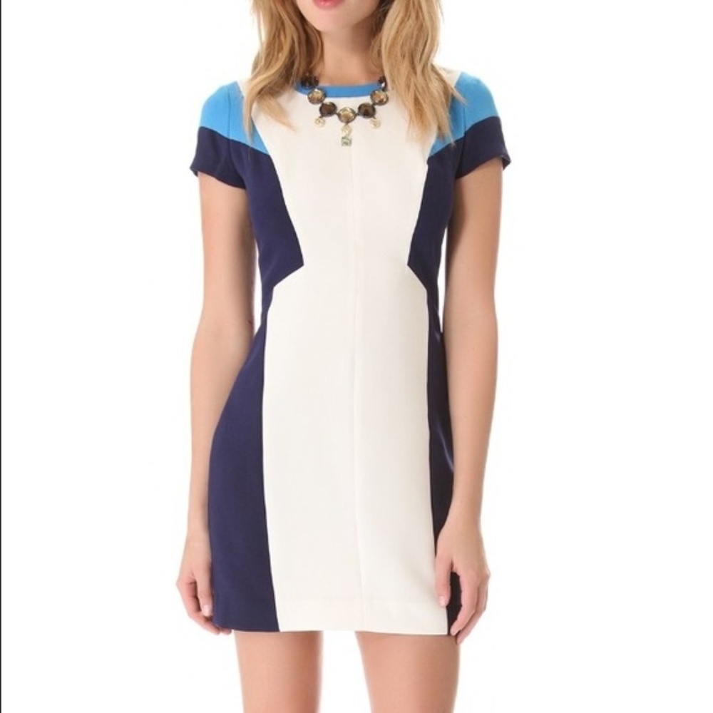 Club Monaco Color Block Dress